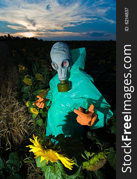 Man in protective suits and gas mask on sunflower field. Man in protective suits and gas mask on sunflower field