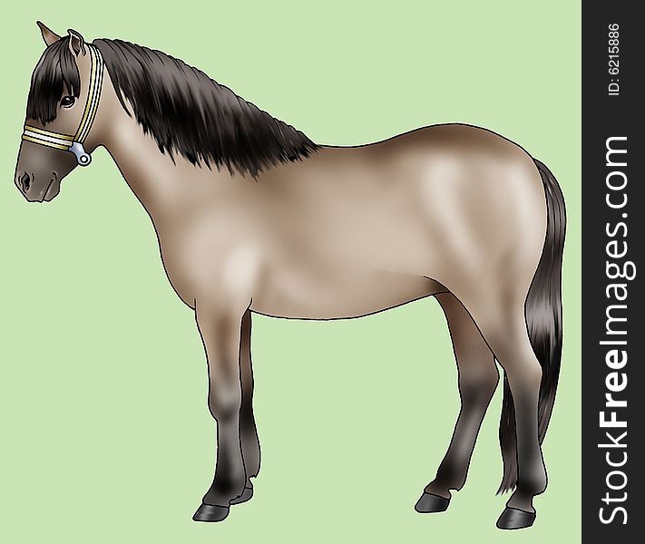 Pony breeds: Sorraia - Artistic illustration