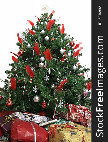 Beautiful Christmas Tree Isolated