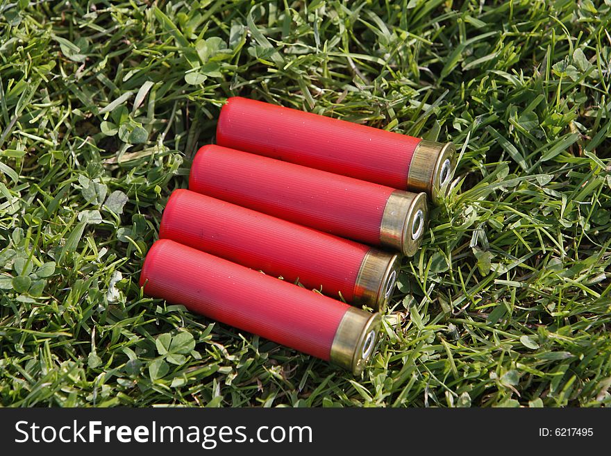 Four gun cartridges which have ont been fired yet