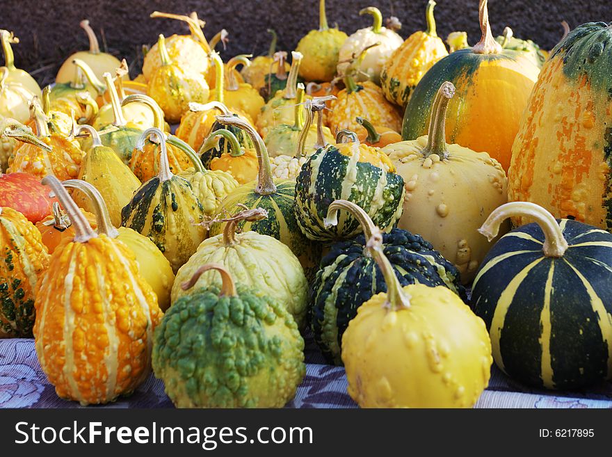 Pumpkins in the grass ready for Halloween. Pumpkins in the grass ready for Halloween