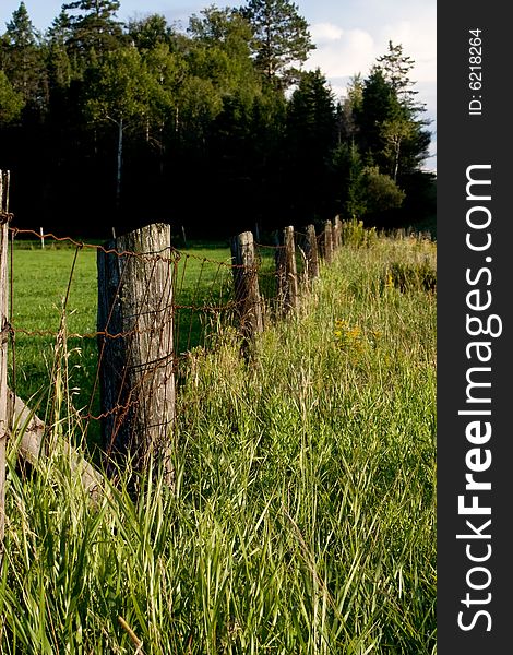 An old wire fence divides a cultivated field from a wild field