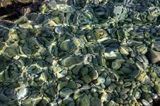 Trasparent Sea Water & Stones Royalty Free Stock Image