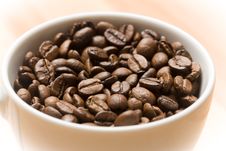 Cup With Freshly Roasted Coffee Beans Royalty Free Stock Photos Cup With Freshly Roasted Coffee Beans Royalty Free Stock Photos