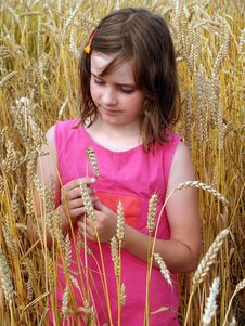 Girl On A Field Of Wheat Stock Images Girl On A Field Of Wheat Stock Images