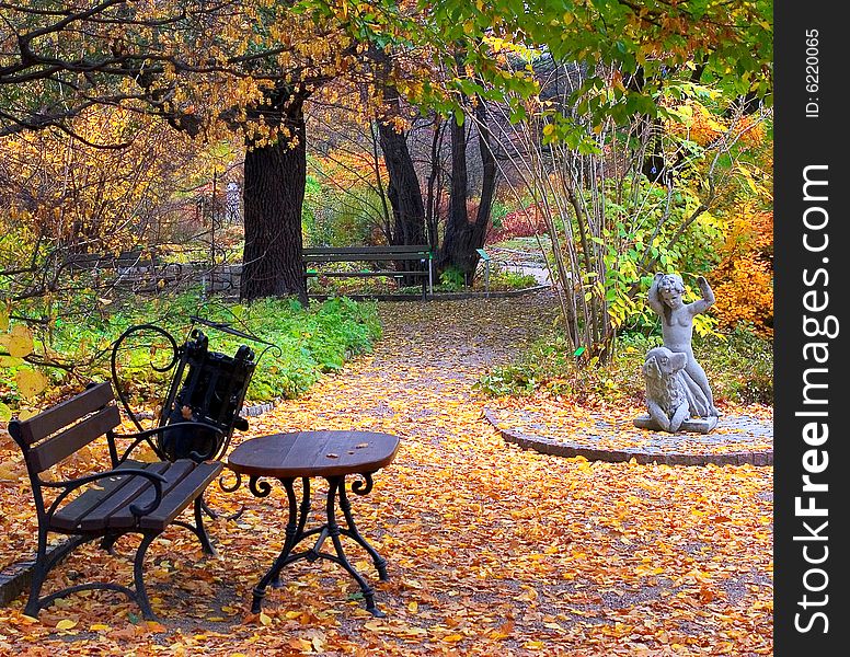 Photograph of  Autumn in park