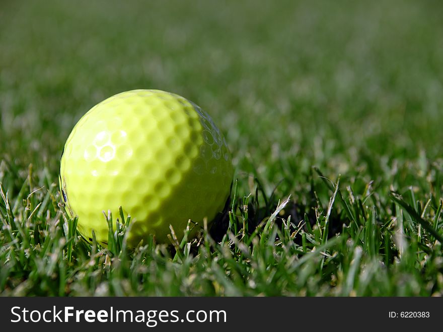 Close Up of a Golf Ball