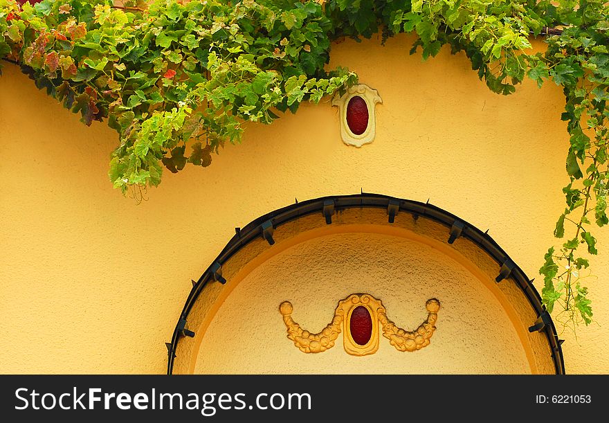 Vintage yellow wall with arch and green vines. Vintage yellow wall with arch and green vines