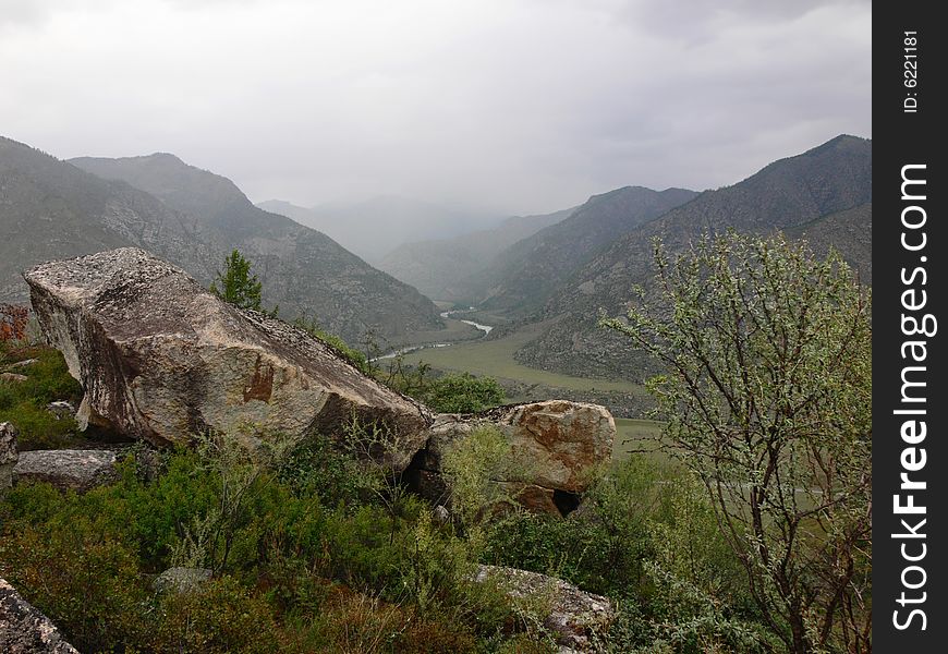 The Stone and tree on declivity of the mountain. The Stone and tree on declivity of the mountain