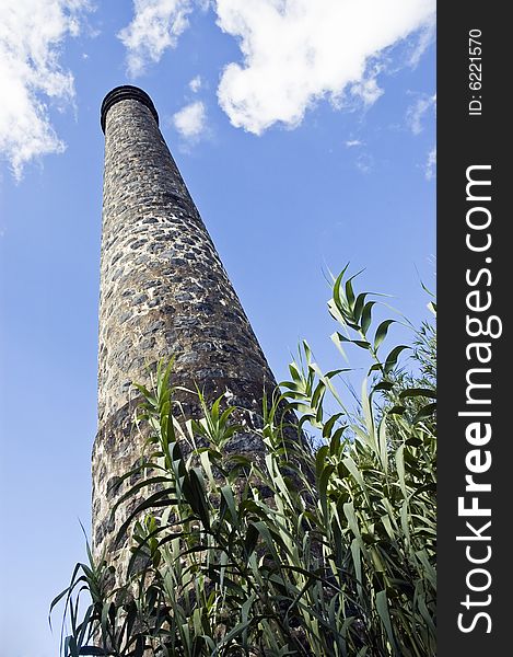 Old factory chimney surounded by reeds