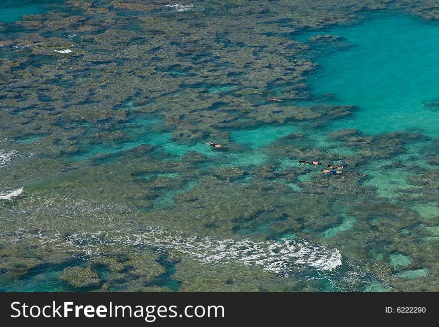 Snorkeling over coral reef of Hanauma Bay, Hawaii. Snorkeling over coral reef of Hanauma Bay, Hawaii