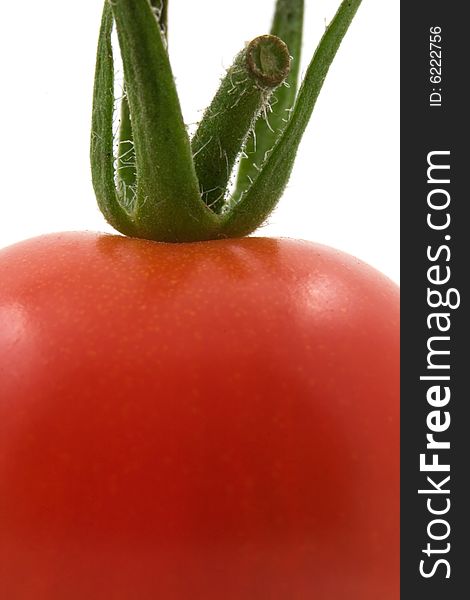 Macro image of a tomato set against a white backdrop. Macro image of a tomato set against a white backdrop