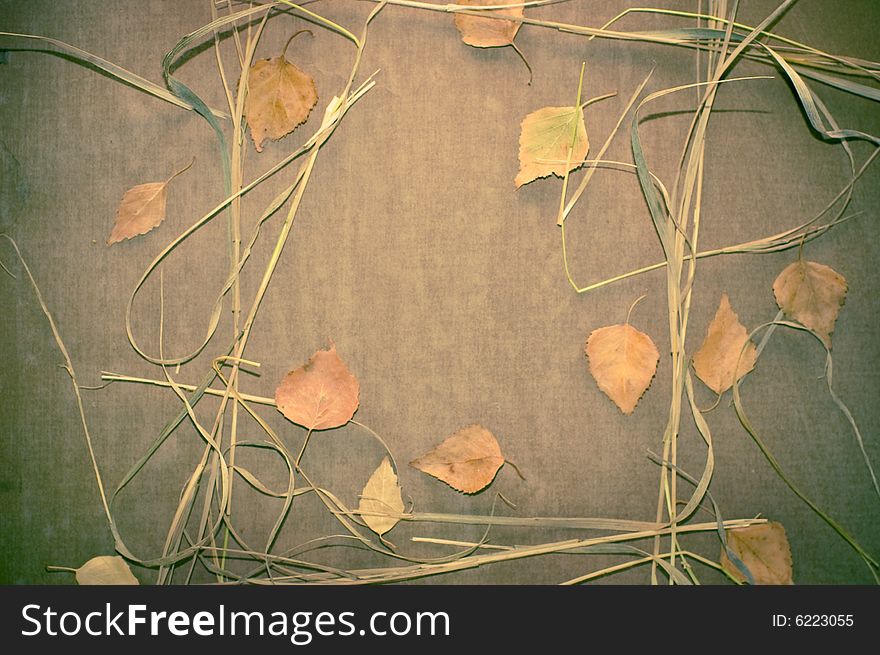 Grunge background with dry leaves. Grunge background with dry leaves