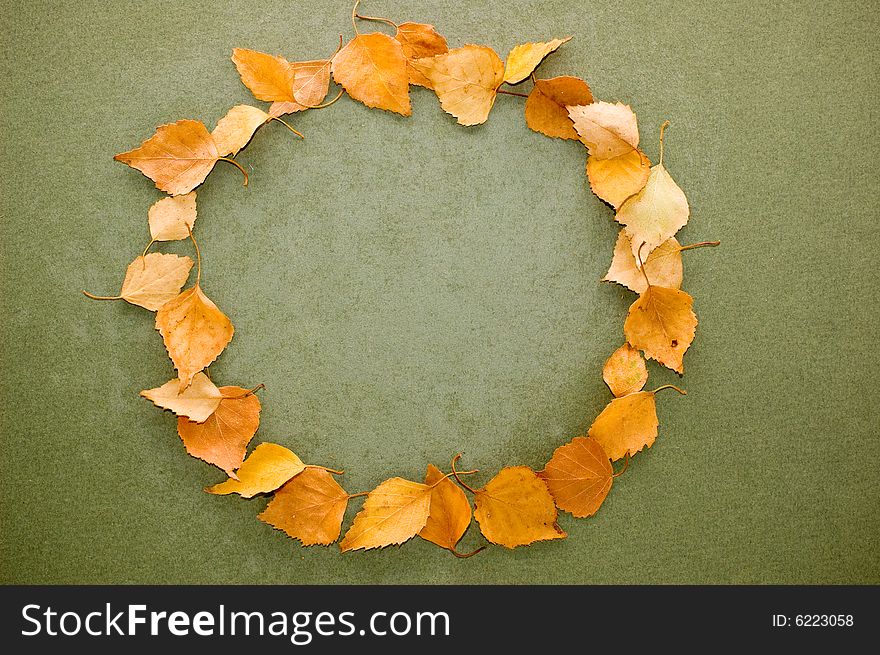 Autumn leaves on grunge background