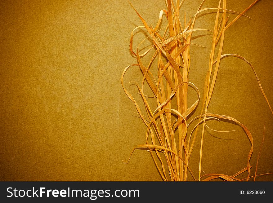 Grunge background with dry leaves. Grunge background with dry leaves