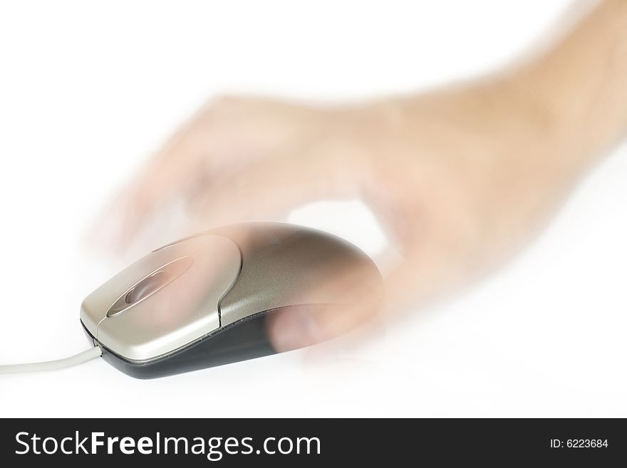 Computer mouse on a white background