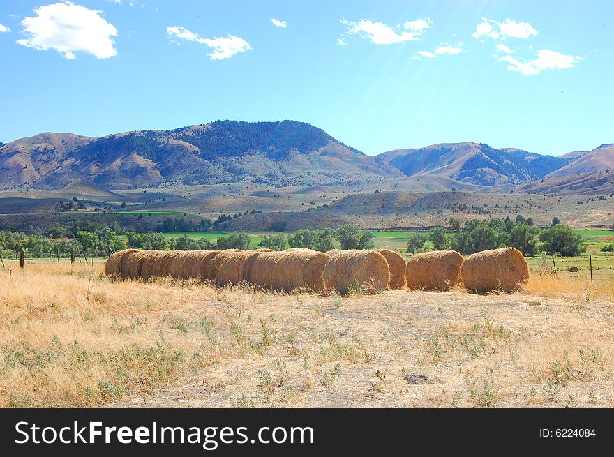 Dried hay rolls waiting to be picked up in Durkee OR. Dried hay rolls waiting to be picked up in Durkee OR.