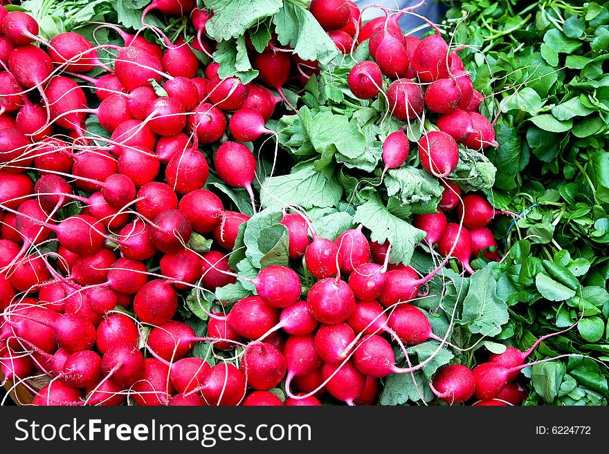 Fresh red radishes vegetables with green leaves. Fresh red radishes vegetables with green leaves