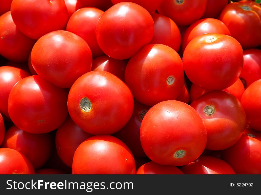Background of red freshly picked tomatoes. Background of red freshly picked tomatoes
