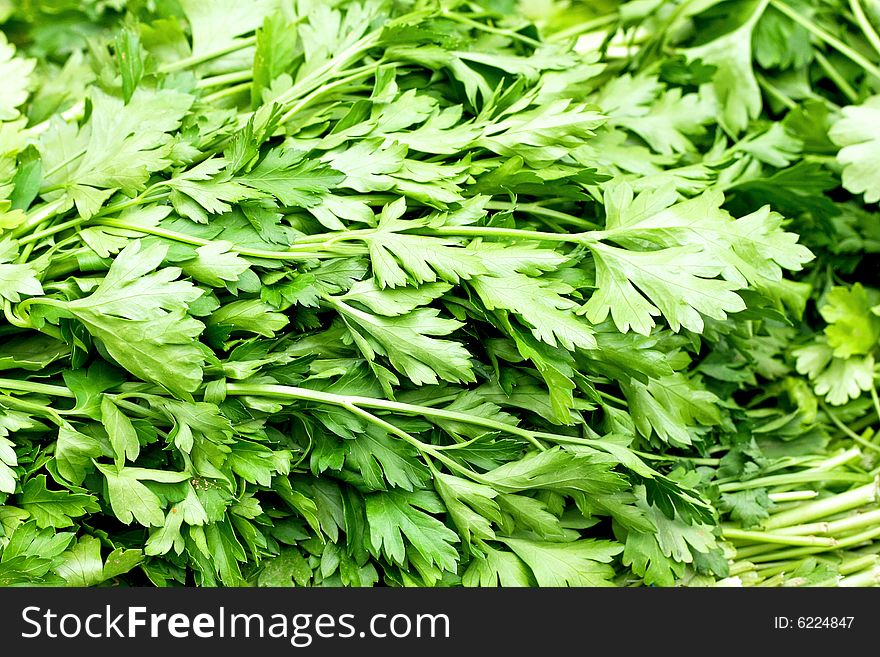 Bunch of fresh green organic parsnip herbs