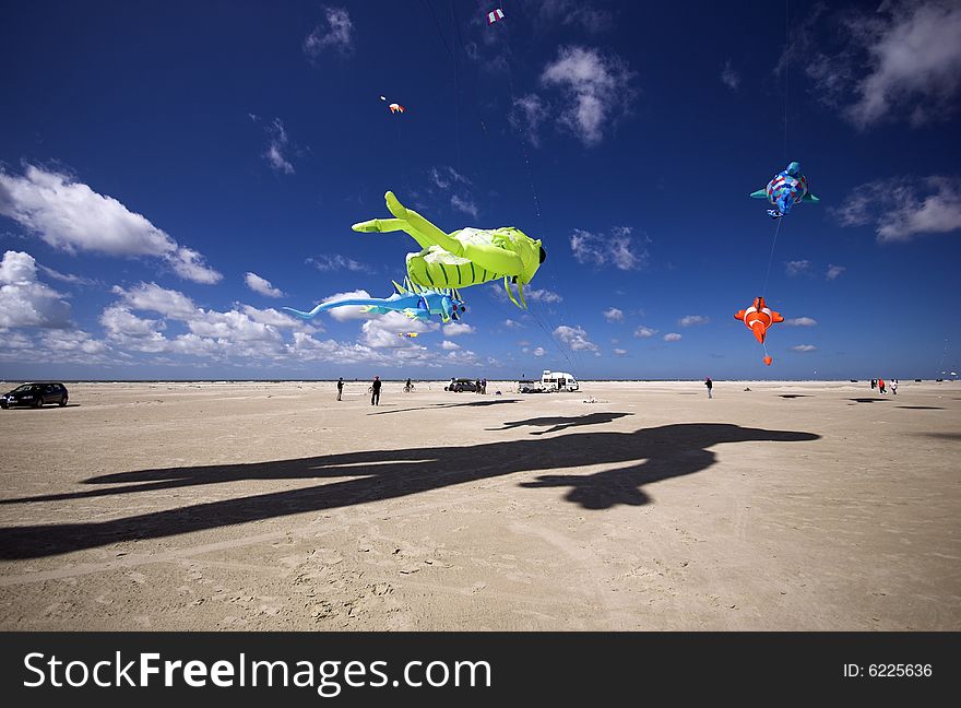 Big Black Grasshopper Shadow.
Fantasy Kite High-Up in the Blue Sky a Sunny Day on the Beach. Kite Flying Festival on Fanoe, Denmark.