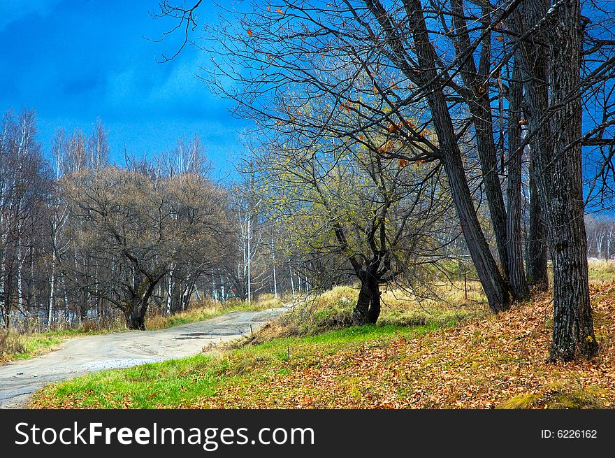 Autumn landscape - forest and old road. Autumn landscape - forest and old road.