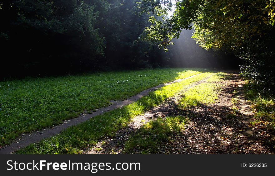 Path through Forest with Sun Beam. Path through Forest with Sun Beam