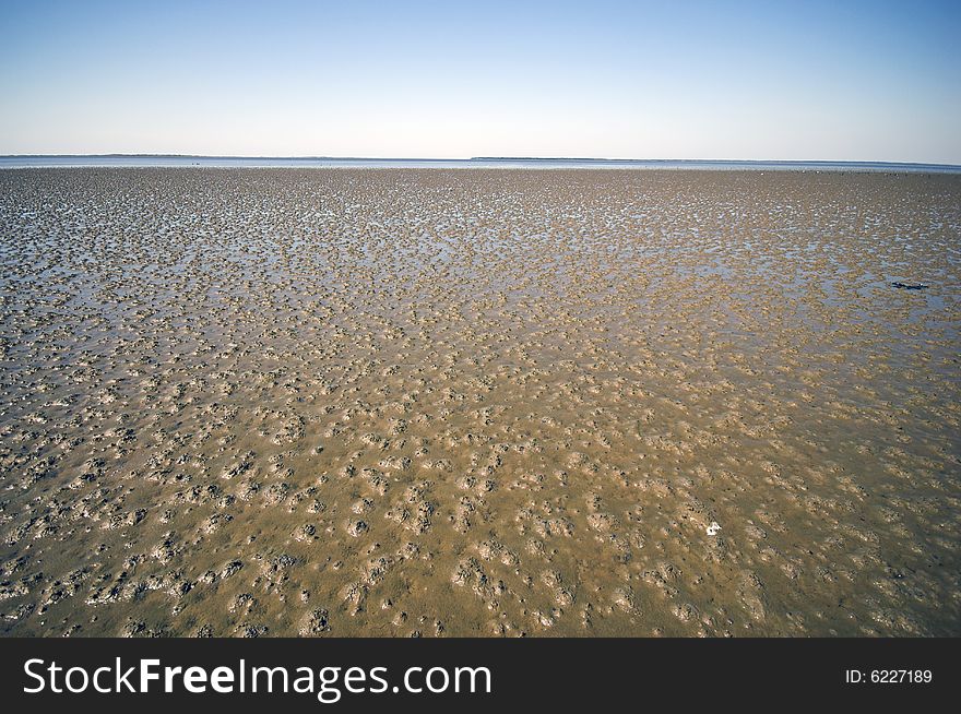 Sandy Ocean Floor - Low water at the Danish Wadden Sea National Park