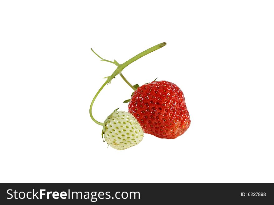 Ripe and unripe strawberry isolated on white background