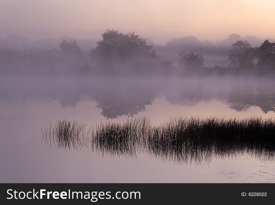 Magenta sunrise with fog over pond