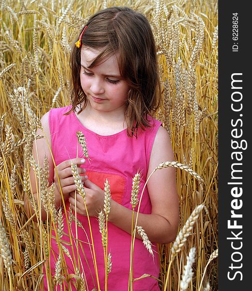 Girl on a field of wheat. summer day