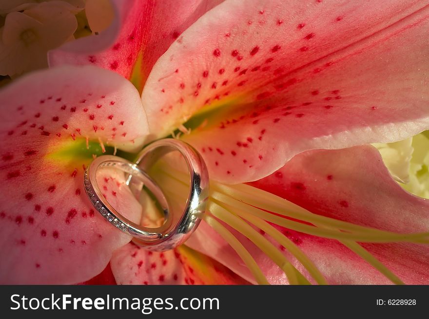 Closeup of wedding rings on pink flower DOF focus on diamonds