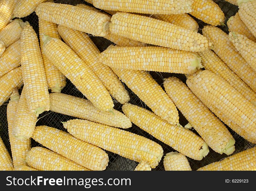 Background of fresh yellow corn on the cob. Background of fresh yellow corn on the cob