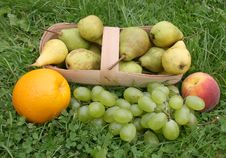Grapes And Orange Royalty Free Stock Photography Grapes And Orange Royalty Free Stock Photography