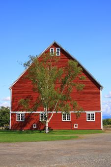 Red Barn With Tree Royalty Free Stock Images Red Barn With Tree Royalty Free Stock Images