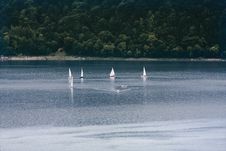 Boat-race At The Lake Royalty Free Stock Photo