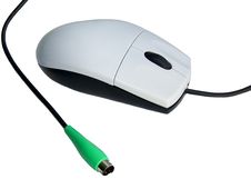 Computer Mouse Royalty Free Stock Image