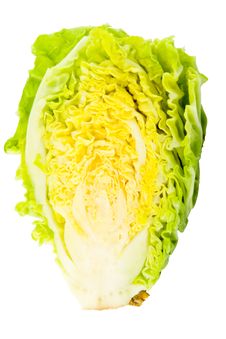 Cabbage Royalty Free Stock Photos Cabbage Royalty Free Stock Photos