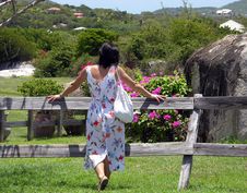 At The Fence Royalty Free Stock Image