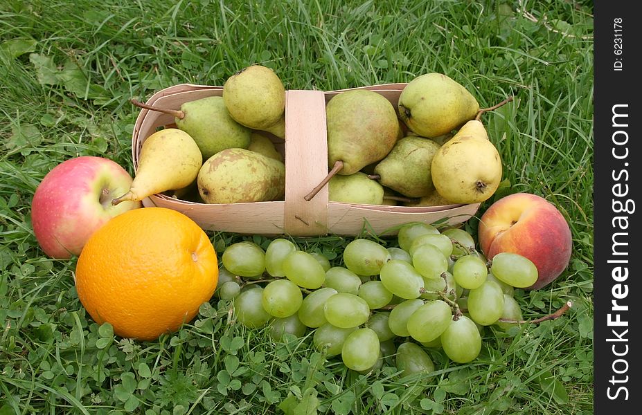 Yellow and light 
basket with pears and a orange with apples on a green grass. Yellow and light 
basket with pears and a orange with apples on a green grass