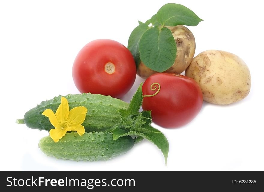 Tasty 
and beautiful vegetables on a white background