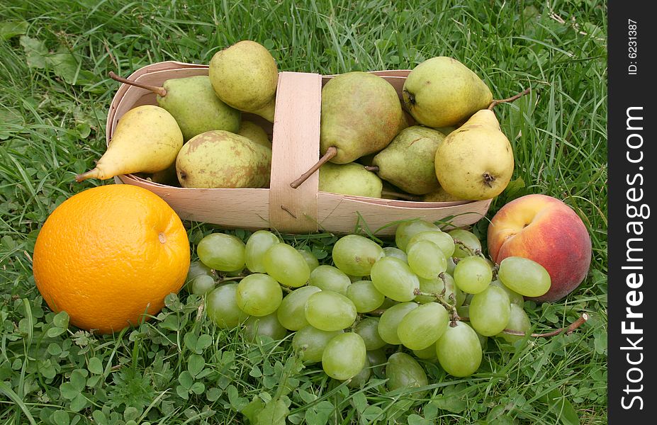 Yellow and light 
basket with grapes and a orange with apples on a green grass. Yellow and light 
basket with grapes and a orange with apples on a green grass