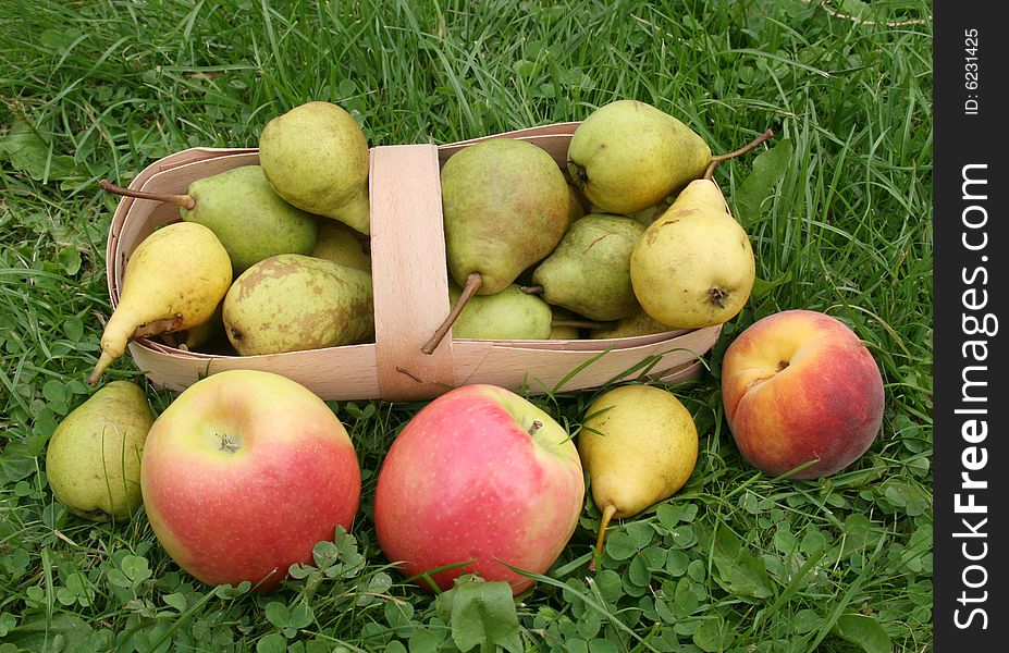 Yellow and light basket with pears and a peach with apples on a green grass