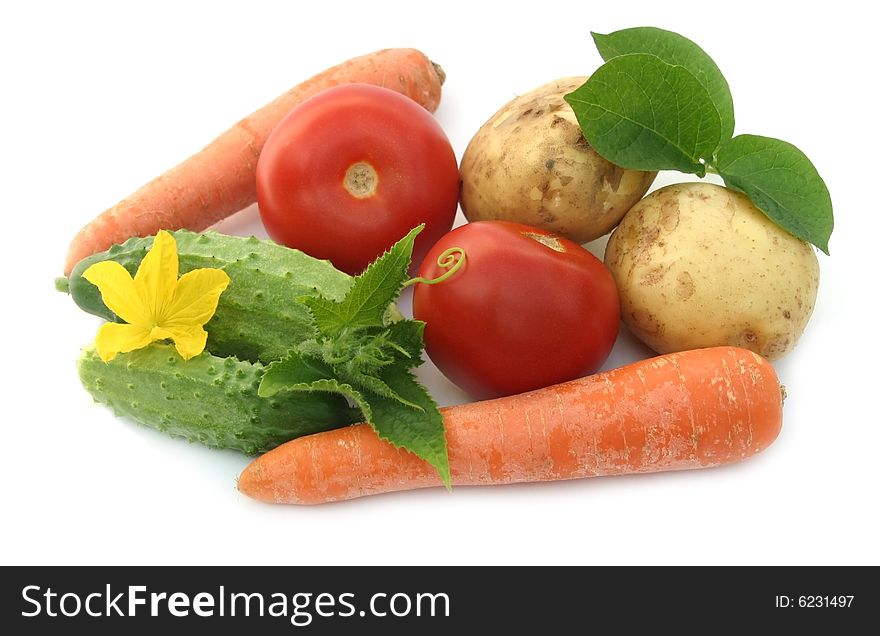 Tasty 
and beautiful vegetables on a white background