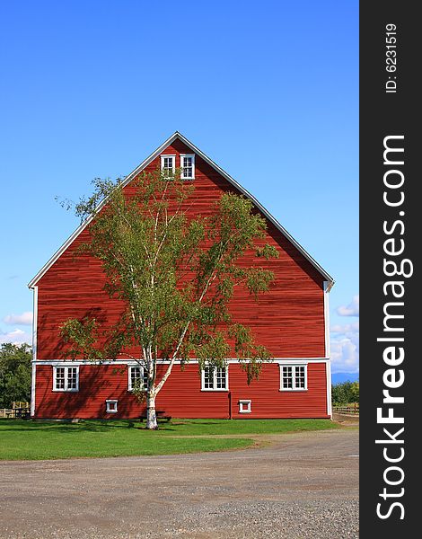 A large red barn with a tree in front of it with blue sky behind. No people in the shot. A large red barn with a tree in front of it with blue sky behind. No people in the shot.