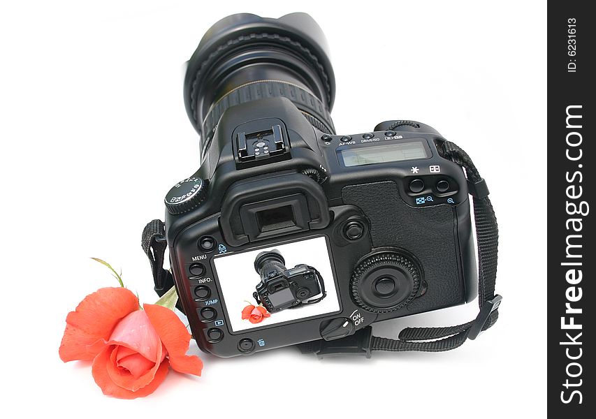 Camera with colors on a white background and flower scarlet a rose  and  small a picture