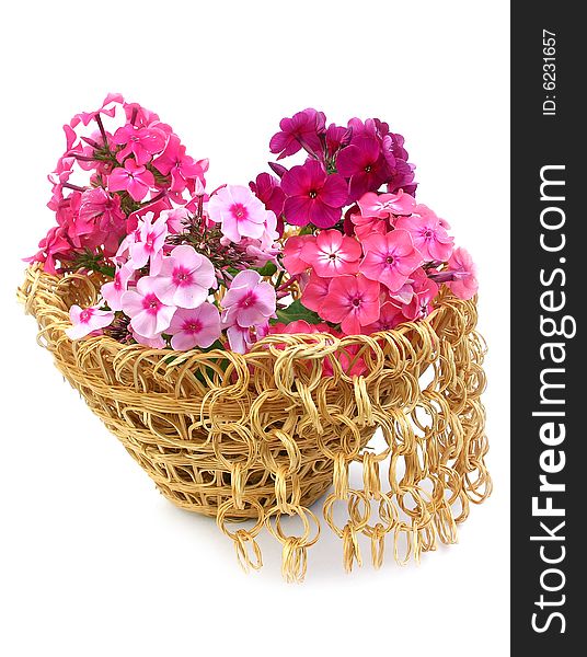 Phloxes in a yellow basket