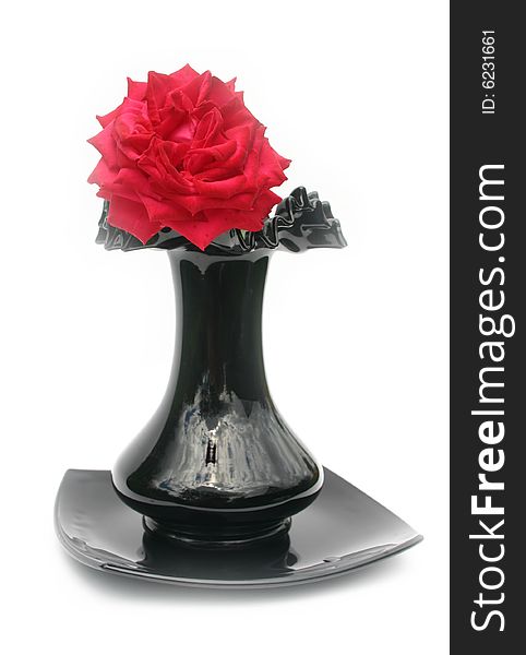 Red rose in a black vase on a white background