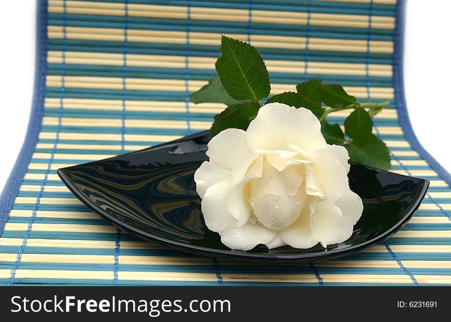 White rose on a black plate on a striped napkin