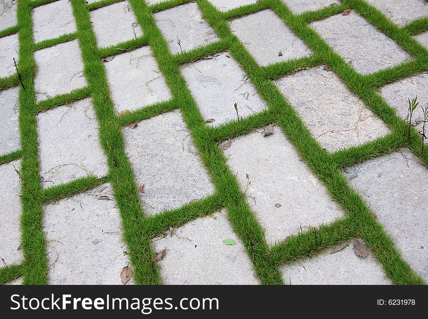 Bricks with grass between them